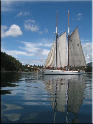 Adventuress - Deer Harbor, San Juan Islands