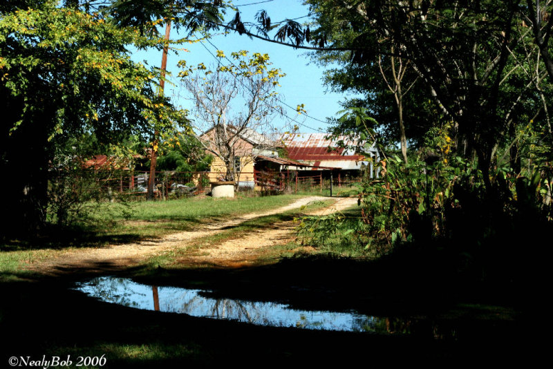 The Old Dairy Barn October 22 *