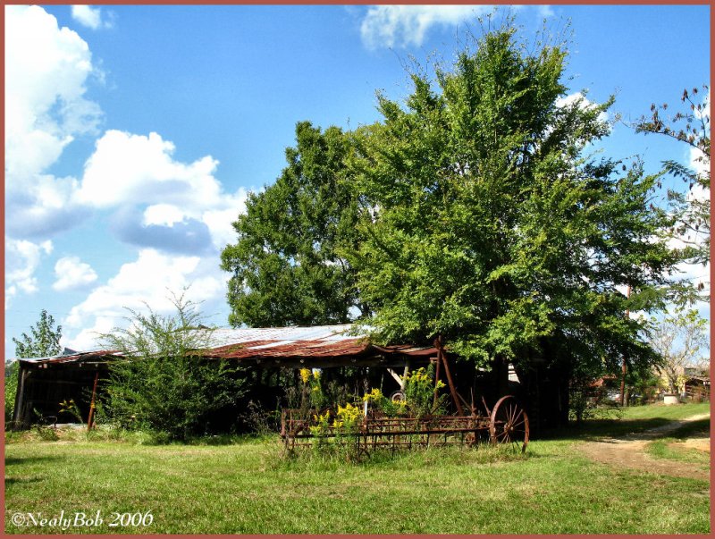 The Old Tractor Shed November 11 *