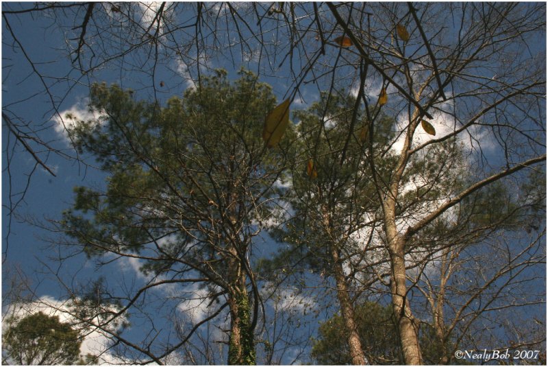 Blue Sky February 23