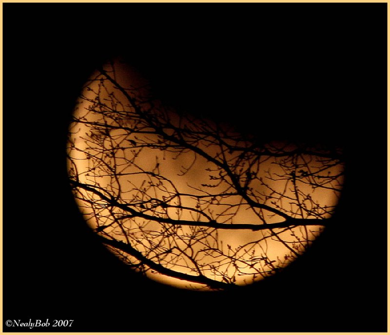 Lunar Eclipse