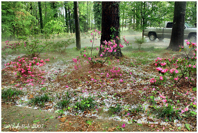 Hail Storm March 29 *