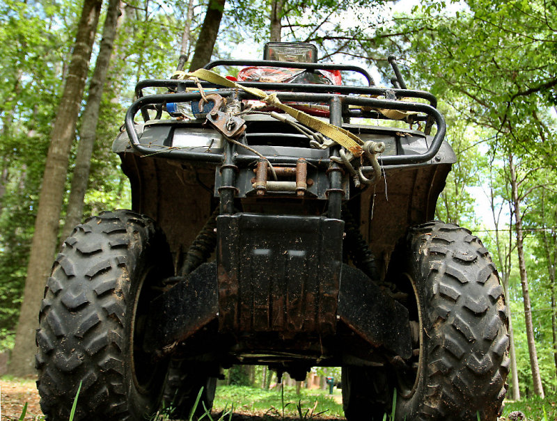 Mud Camel
