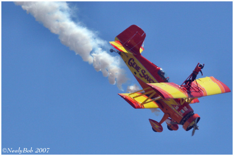 Wing Walker