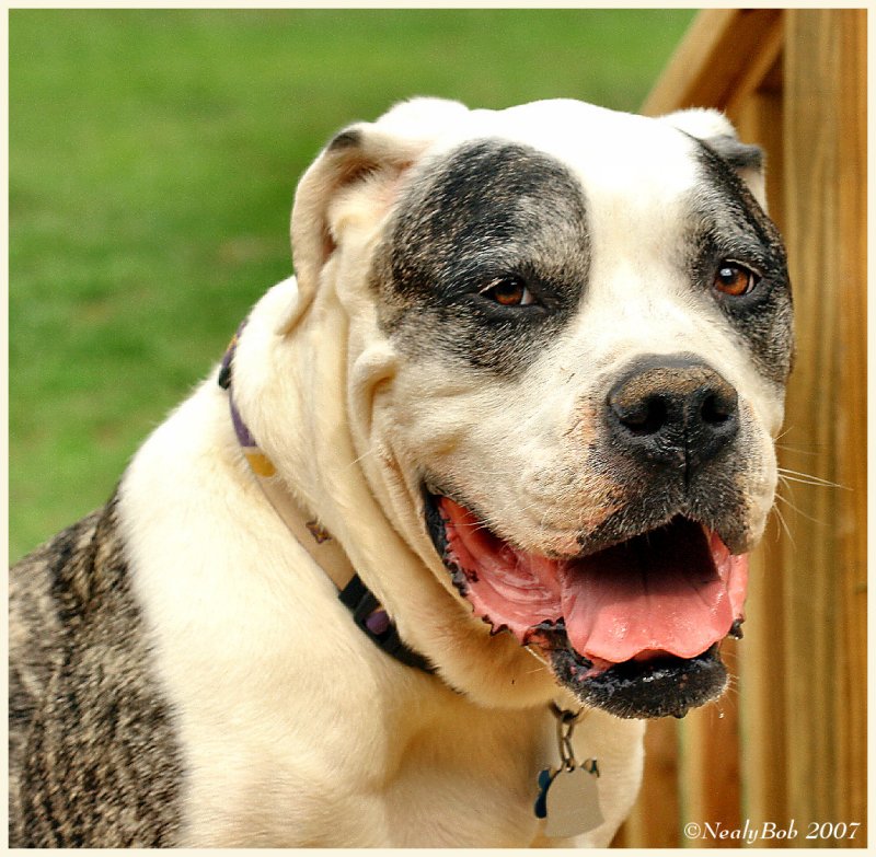 Big Jake May 31 *