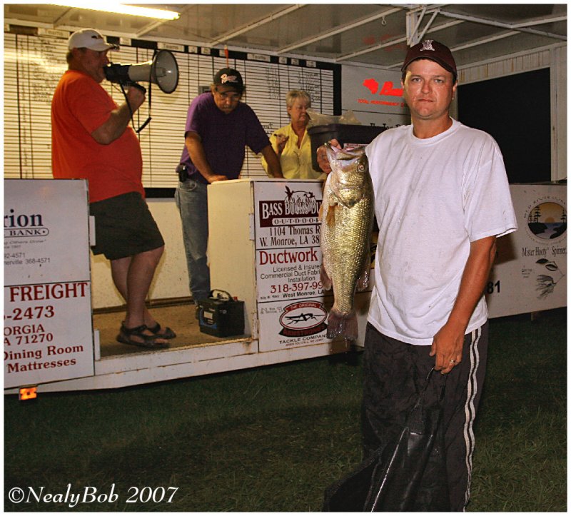 DArbonne Majestic Big Bass Classic