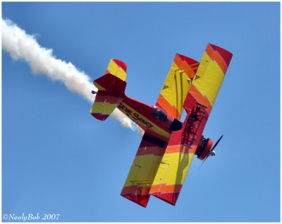 Wing Walker