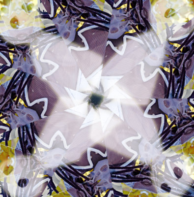 Ghostly Kaleidoscope