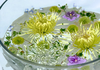 Chrysanthemum in Bowl