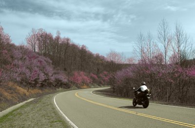 Biker On the Trace