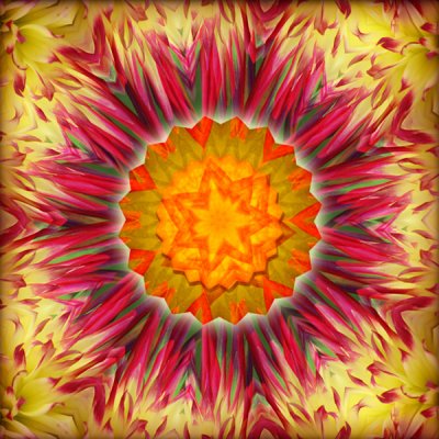 Dimensional Dahlia