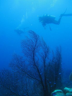 CRW_5863.jpg