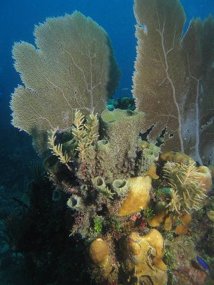 CRW_5914.jpg