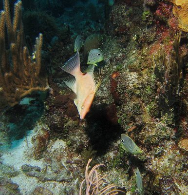 CRW_5919.jpg