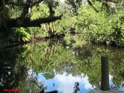 Estero River