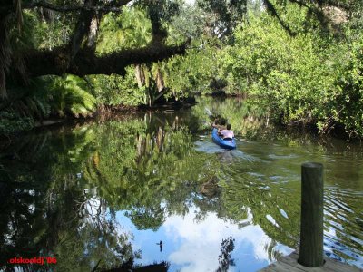 Estero River