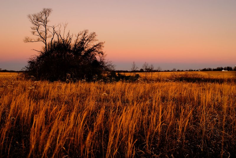Prairie dawn