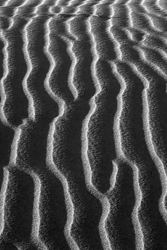 ripples in sand