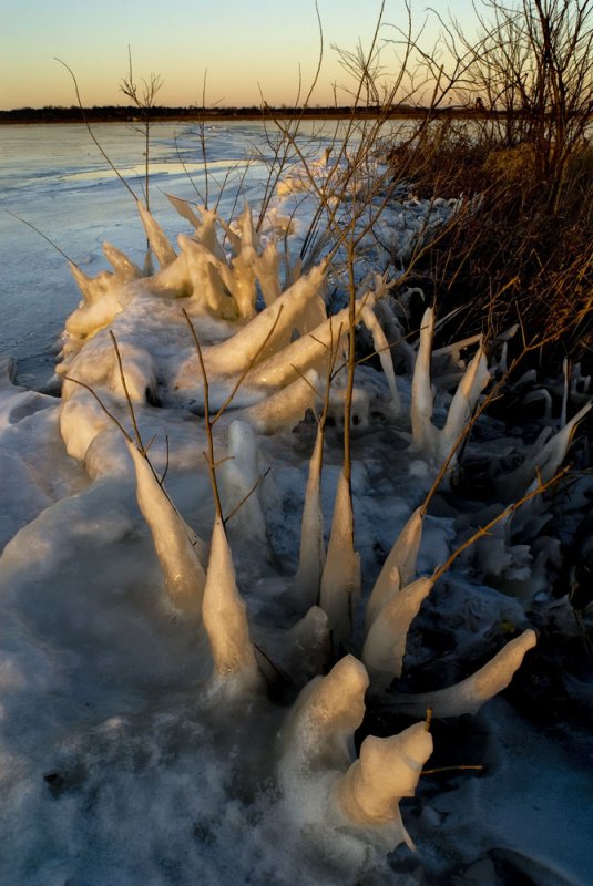 ice sculptures