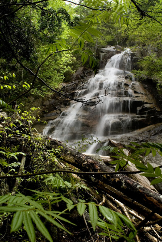 Cloudland Falls