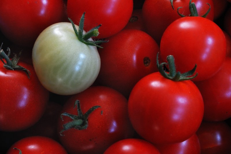 green tomato