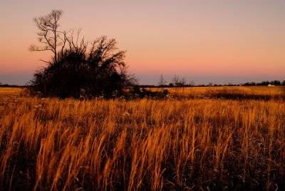 Prairie dawn