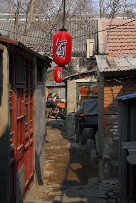 hut (15).jpg