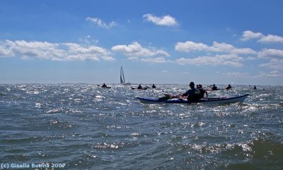 Waddenzee 04 08 2007