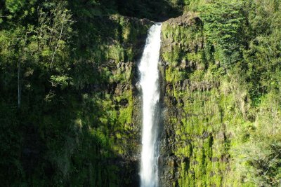 Akaka Falls_4a.jpg