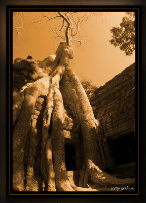 Images From Cambodia