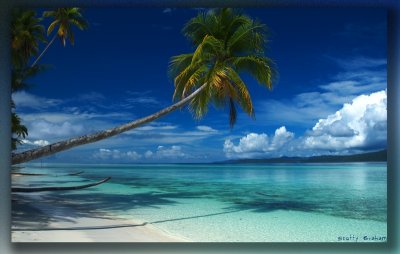 The Beach