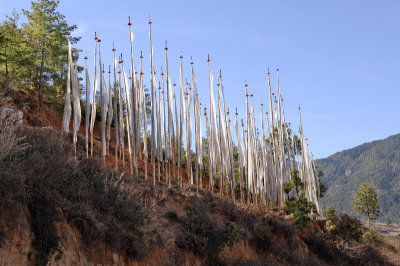 Prayer Flags