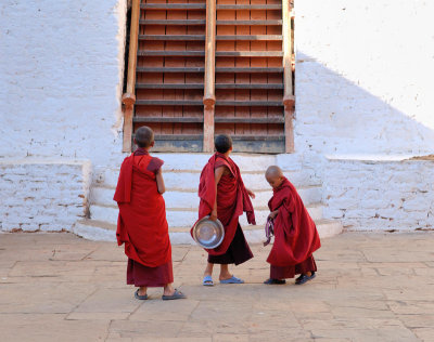 Young Monks - Punakha Dzong