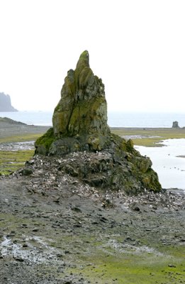 Shetland Islands