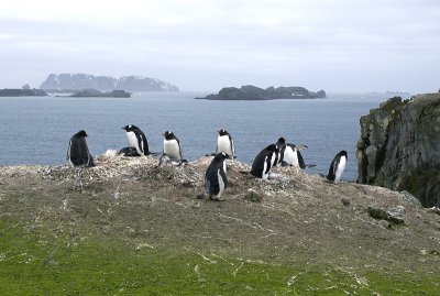 Shetland Islands