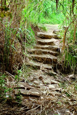 Stone Stairs - Jorden River