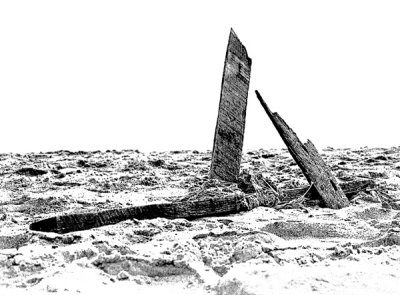 Driftwood