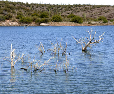 Desert Lake