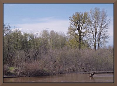 The Mud River in Spring