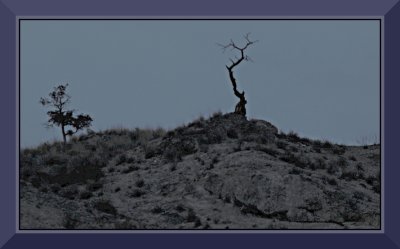 Twilight on Rattlesnake Hill