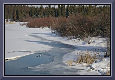 Spring Thaw