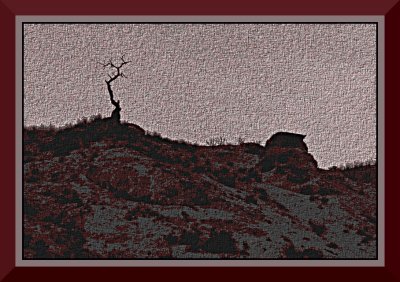 Rattlesnake Hill, Cache Creek