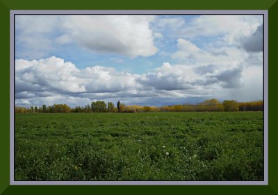 Egli Farm, Vanderhoof