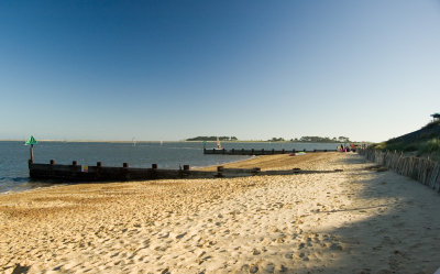 wells beech