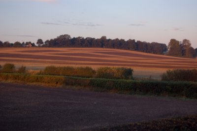 After the ploughing comp.jpg