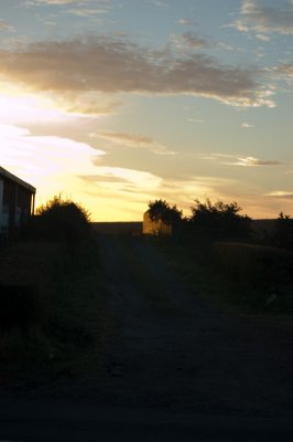 First light on bridge.jpg