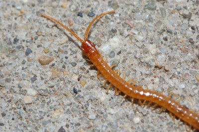 DSC_6483.jpg