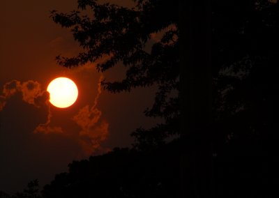 sun.jpg