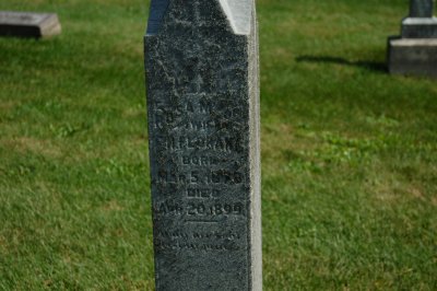 DSC_8553.jpg