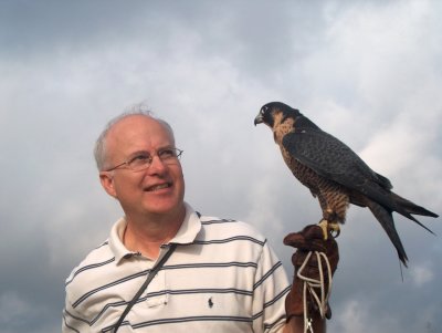 My female Peregrine Sandia